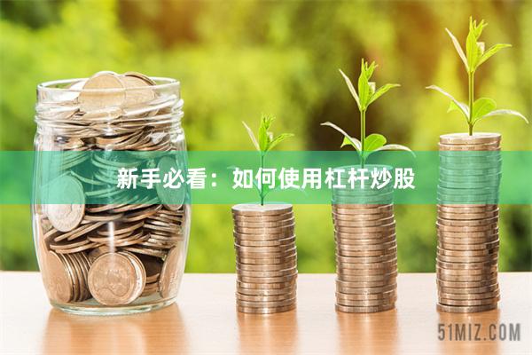 新手必看:如何使用杠杆炒股