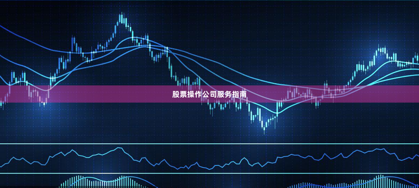 股票操作公司服务指南
